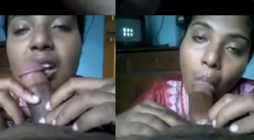 Desi blowjob given by Indian Naukraani to Malik