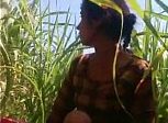 Leak MMS bf of Patna village desi girl do lund chut chudai in field