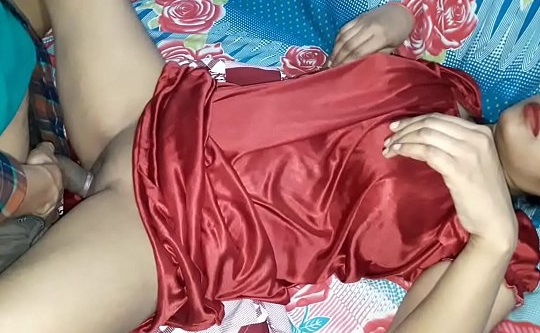 chote bhai ne didi ko chod kar garbhwati banaya
