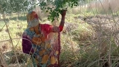 gaon mai dehati aurat ke pussy fuck ki Indian blue film